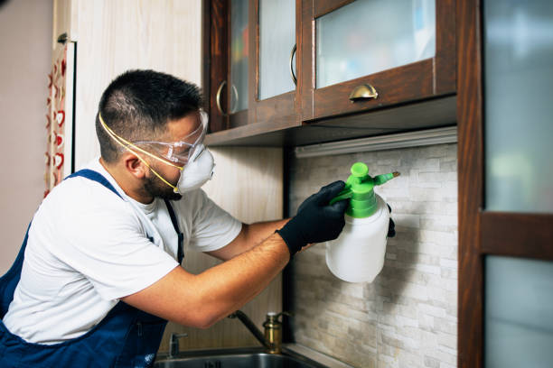 Best Bed Bug Extermination  in Point Of Rocks, MD