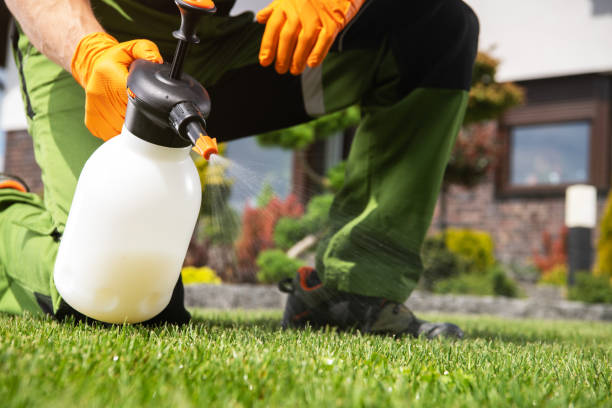 Best Flea Control Services  in Point Of Rocks, MD