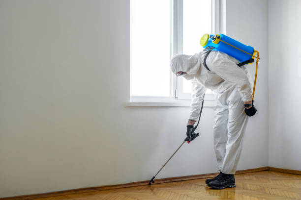 Best Residential Pest Control  in Point Of Rocks, MD