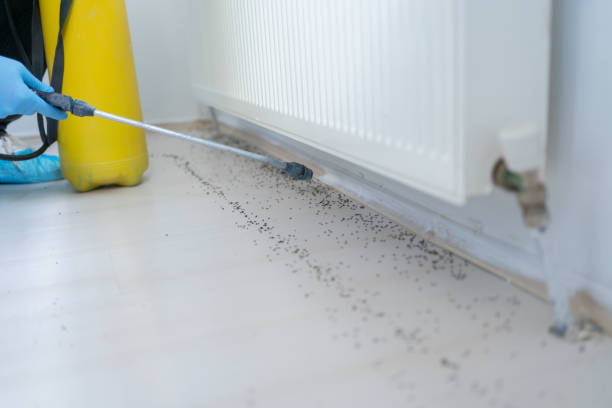 Best Rat Extermination Near Me  in Point Of Rocks, MD