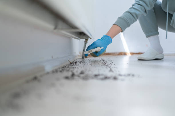 Best Exterminator Services  in Point Of Rocks, MD